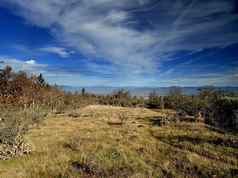 Looking north from the Pali / Equestrian Trail junction.