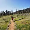 On the Lithic Trail just east of the Equestrain Ridge Trail; Roxy Ann Peak in the distance