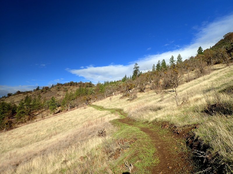 Climbing the Greenhorn Trail