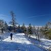 Along the Loop Road in winter