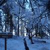 The lower end of the Ponderosa Trail in winter (there old handmade trail signs are being replaced).