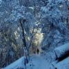 Climbing the Ponderosa Trail in winter.