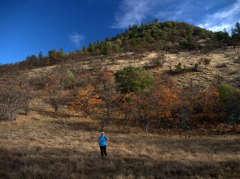 Along the Oak Trail below Roxy Ann Peak