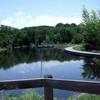 South Pond, looking at the fishing pier from the outdoor classroom