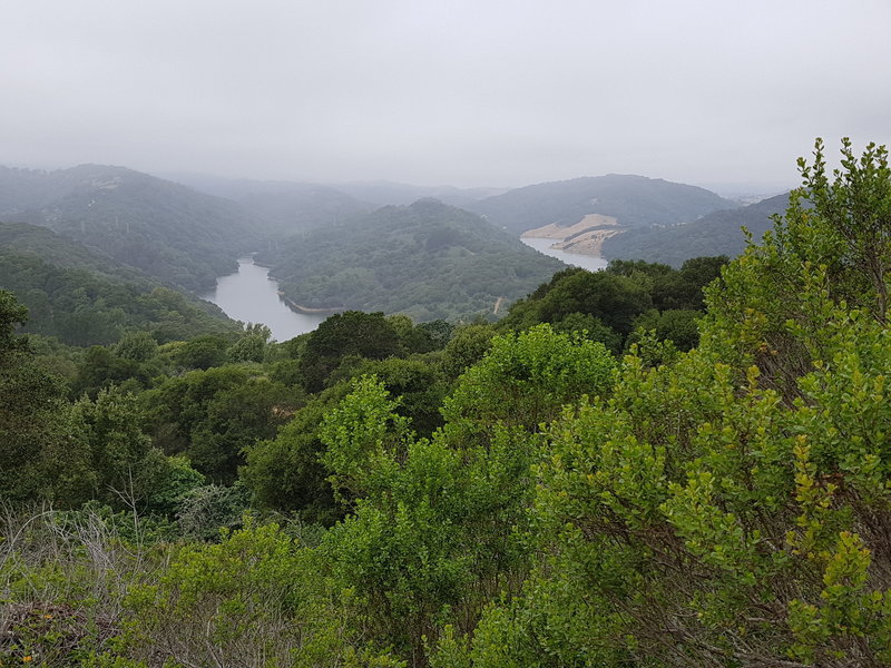 View of Upper San Leandro Reservoir from Soaring Hawk Trail