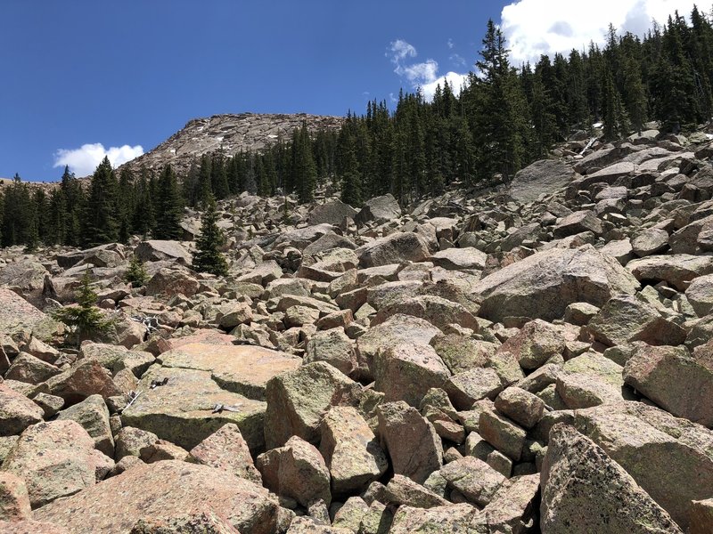 Bottom view of boulder field on north approach to Sentinel Point