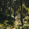 Stretch of the Bucklin Trail near the base of Killington.