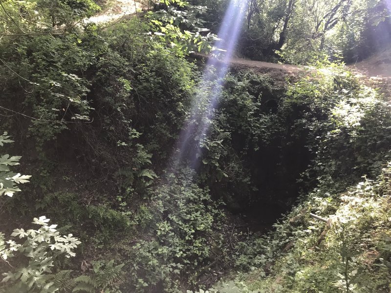 Weather-wise, this was the coolest part of my day. Plenty of canopy cover with intermittent sun. Photo shows the trail above an overgrown culvert with running water.