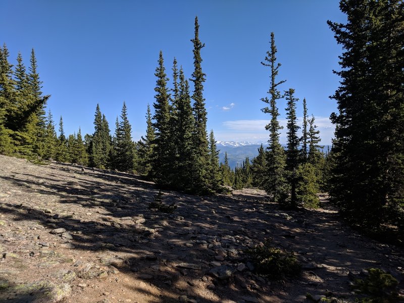 View north from the trail