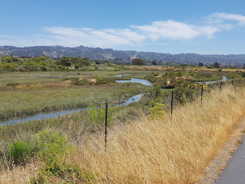 Stege Marsh