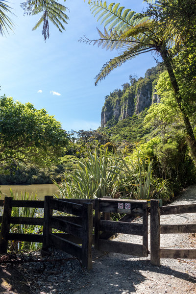 Gate at the entrance to Pororari River Track