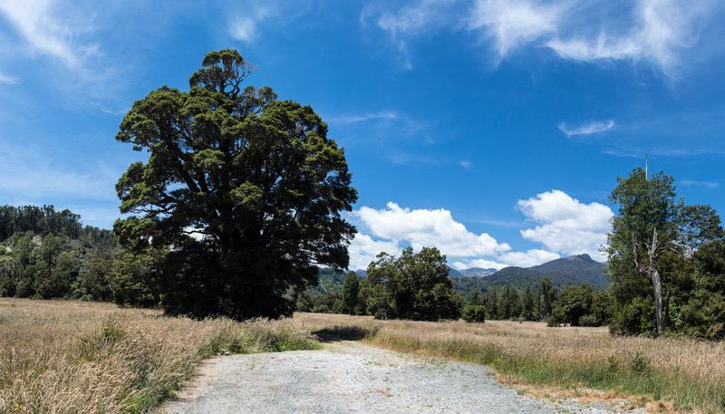 Inland Pack Track junction with Bullock Creek Road