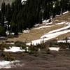 Snow coverage at 11,600 feet, and moose in the center.