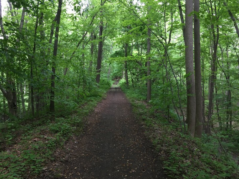 Oreland Rail Trail