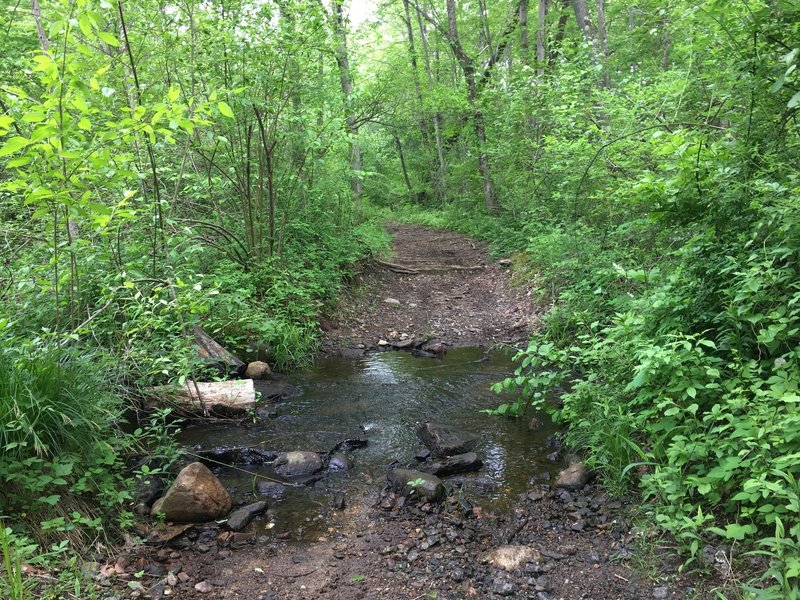 Small stream crossing