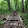 Bridge over stream crossing