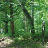 Start of trail from Oak Grove Shelter