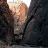 Hiking the Narrows