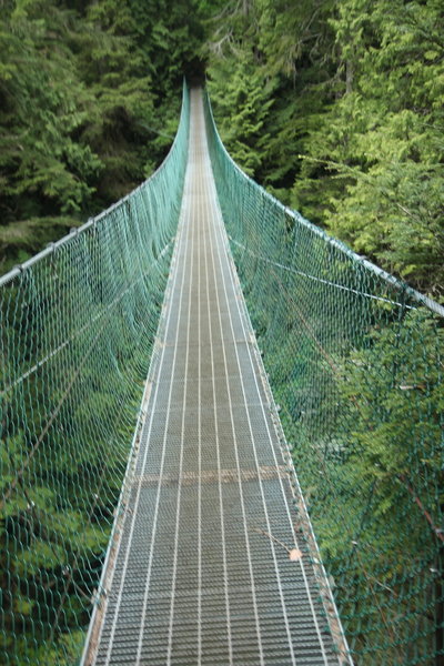 Suspension bridge on JDF Marine Trail