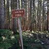 The Fraizer Turnaround and Serene Lake Trail are to the left of the sign, Shining Lake Trail starts to the right.