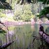 Filtering water from Wagonwheel Lake.