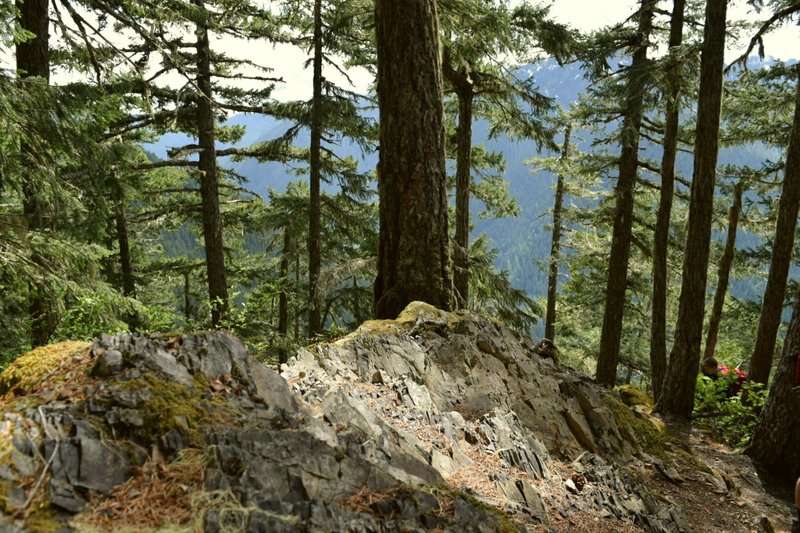 1.2 miles up Wagonwheel Lake Trail. One of the only view spots on the trek up.