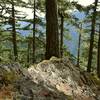 1.2 miles up Wagonwheel Lake Trail. One of the only view spots on the trek up.