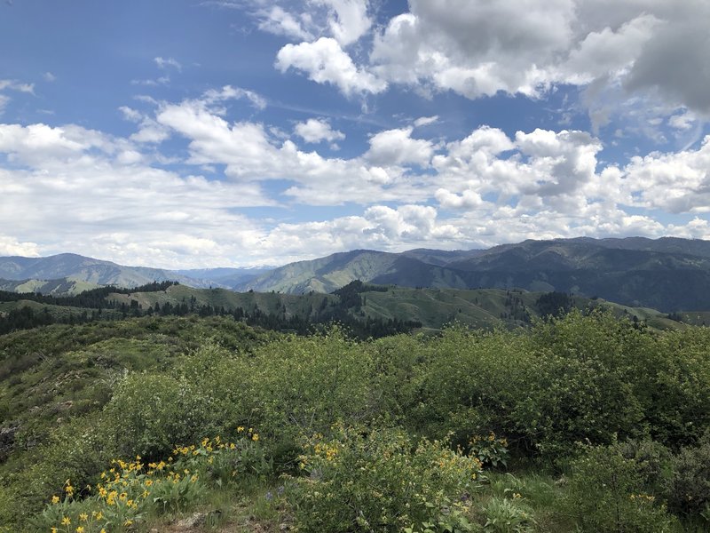 View from Bald Mountain