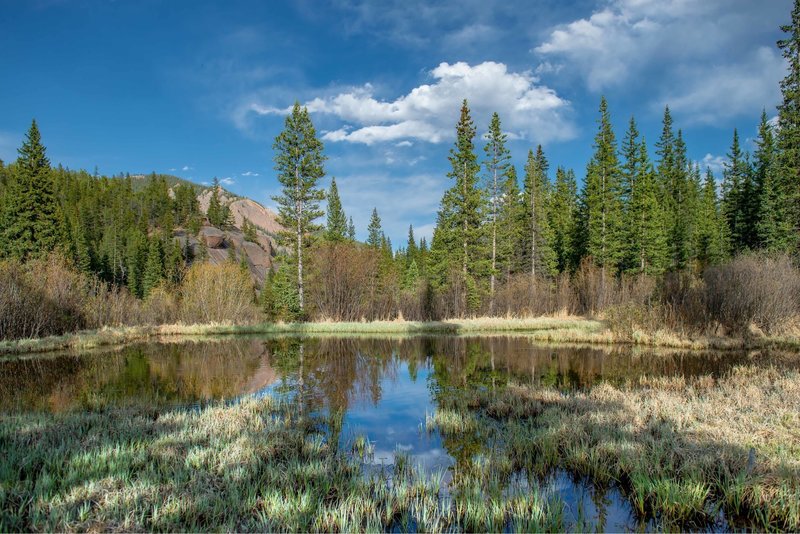 Pond still on Wigwam