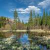 Pond still on Wigwam