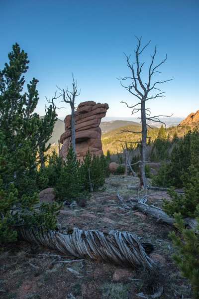 near McCurdy Peak
