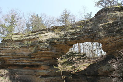 are dogs allowed at natural bridge state park wi