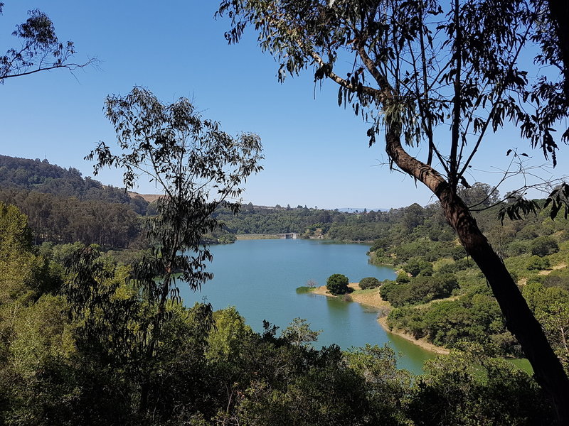 View of Lake Chabot from the campground