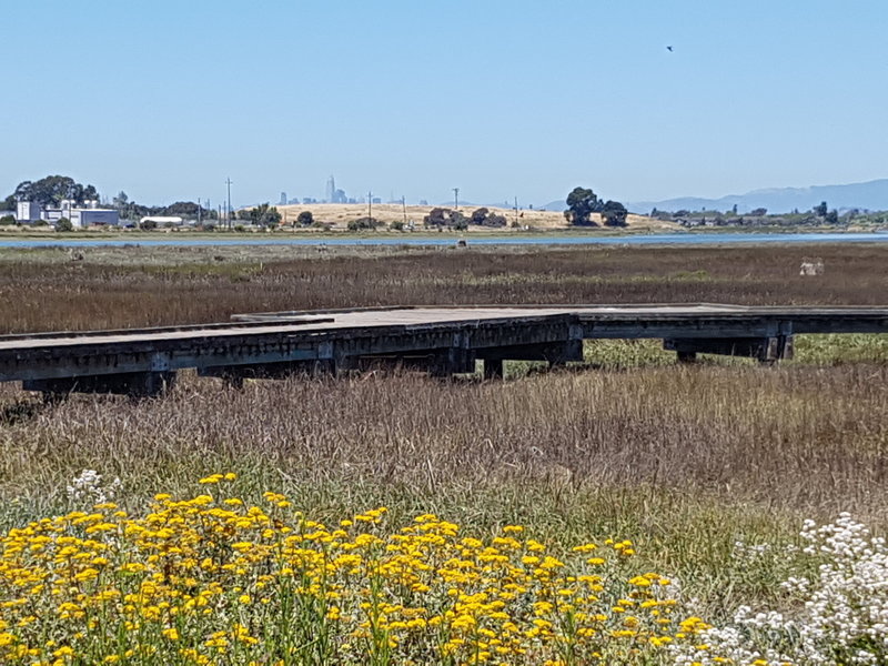 50-acre Arrowhead Marsh