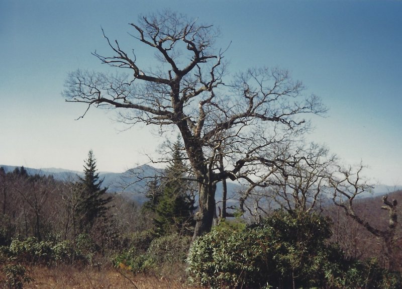 View of Mills River Valley in the winter