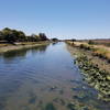 San Leandro Creek