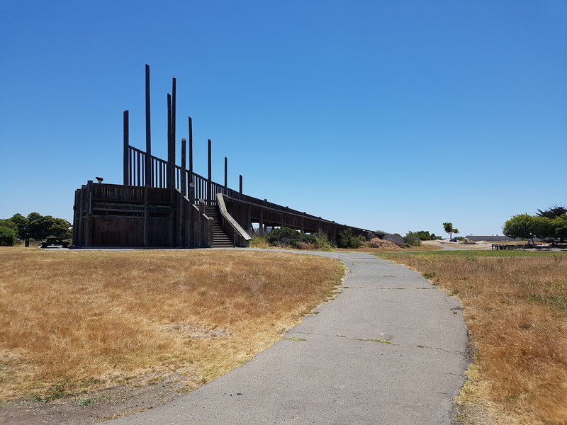 Best views of the marsh are from the top of the wooden structure