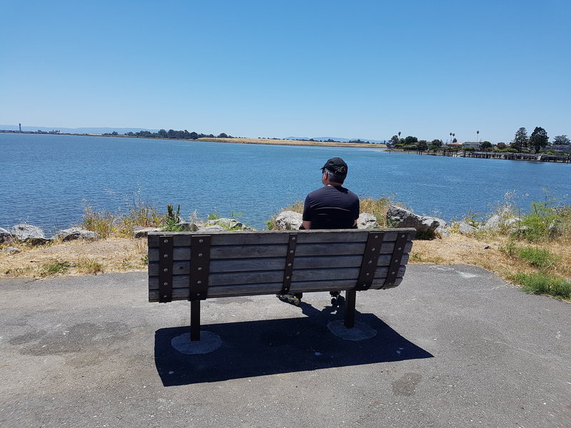 Relaxing on the Bay