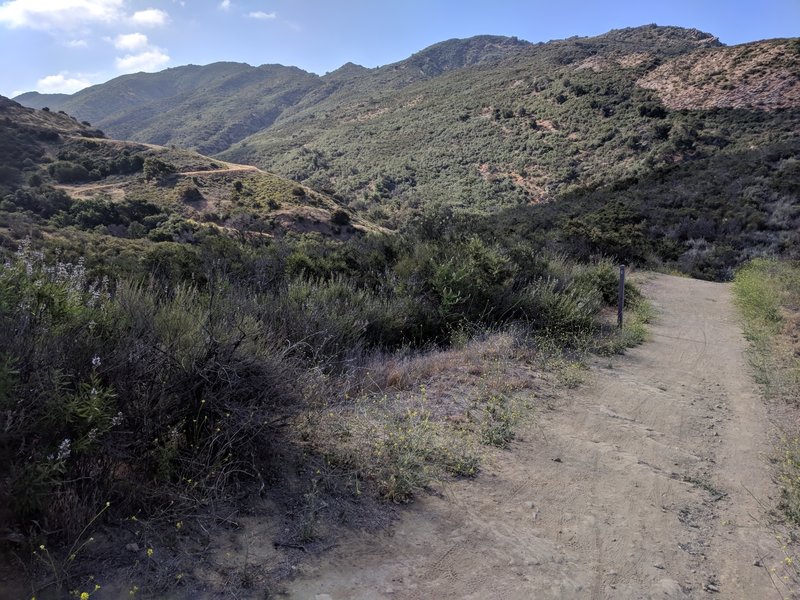 The trail in this part of the canyon offers a variety of views, vegetation, and rock formations.