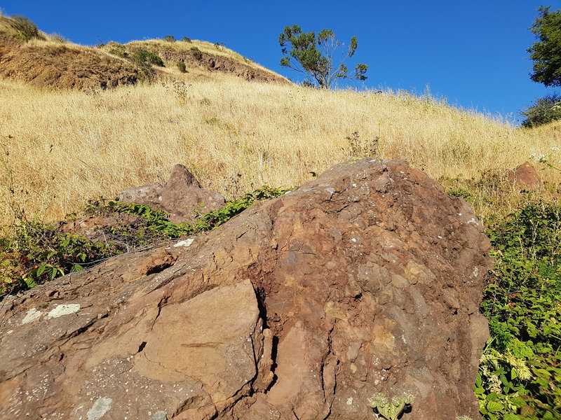 Sign #8: "This huge, reddish-brown block of lava fell from the cliffs to the upper right. The lava cooled and hardened while it was still moving, resulting in dramatic fragmentation, known as "autobrecciation" (self broken)."