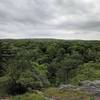 View of Noanet Woodlands from Nimrod Rock