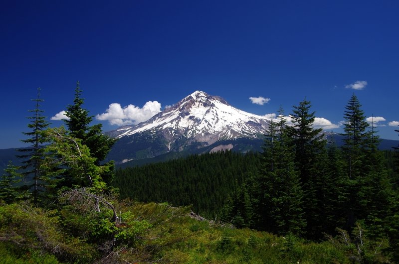 Mount Hood from near Zig Zag Mountain