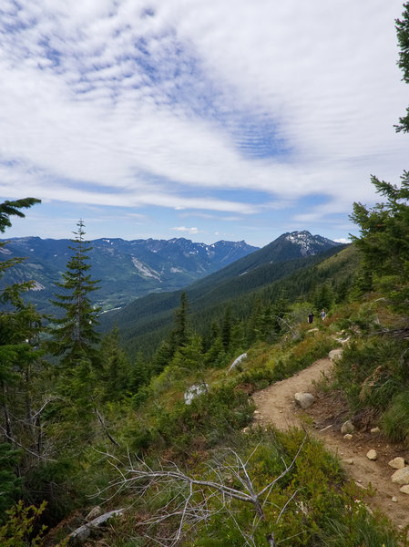 Exiting the forest