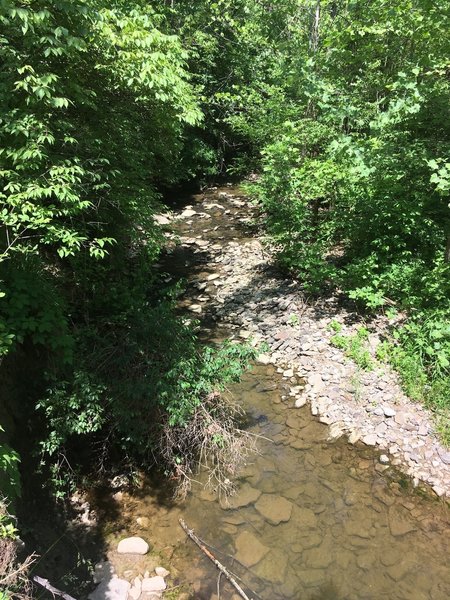 Banks of Shaker Creek