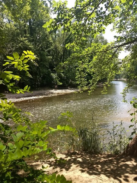 View of Williams Creek