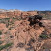 Petrified Dunes view point