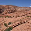 Petrified Dunes trail