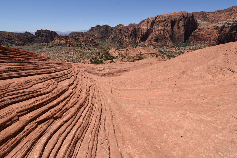 Petrified Dunes trail