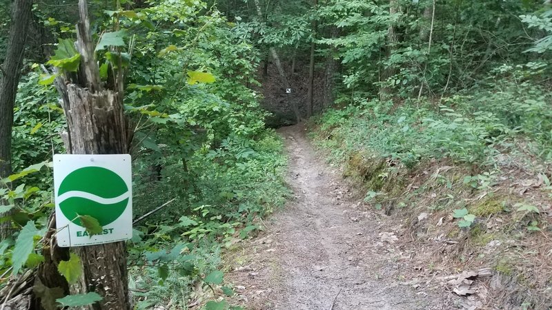 Steep drop into a culvert, the easiest of two options