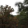 Looking across the canyon at the North Rim